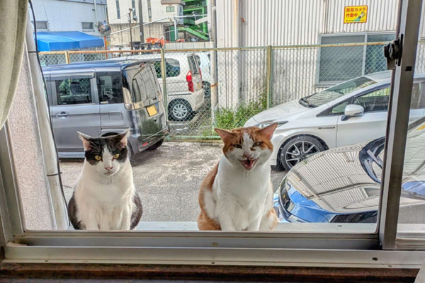 5月のカレンダー&スケジュール表🐾🐾