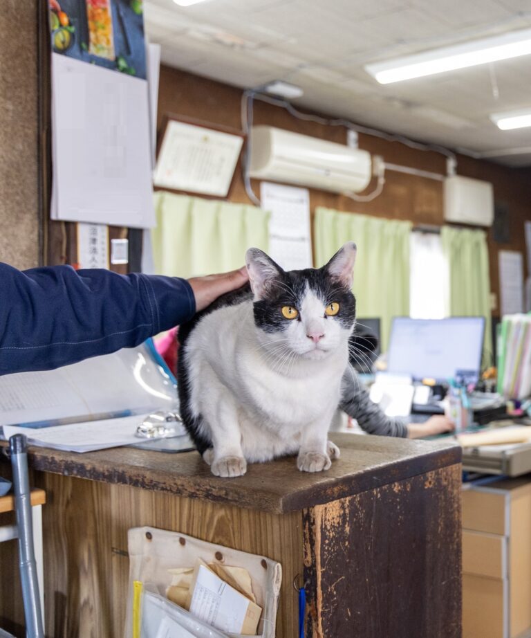 クロの日常2🐾