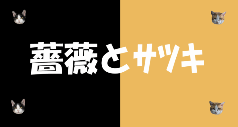 薔薇とサツキ🌹🏵️+クロ通報網🐱