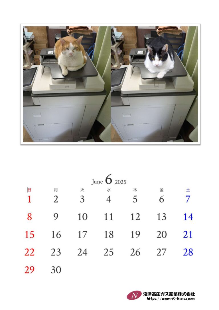 6月のカレンダー＆スケジュール表🐾🐾