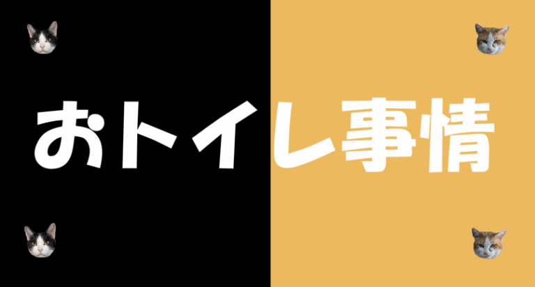 おトイレ事情🚽🪣