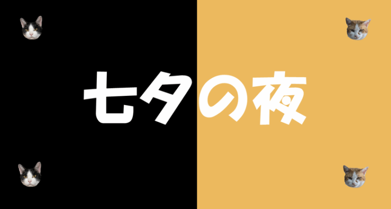 七夕の夜🌠