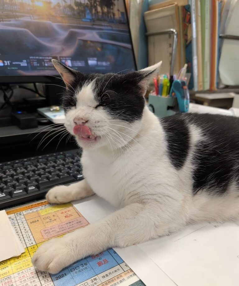 クロの日常16🐾