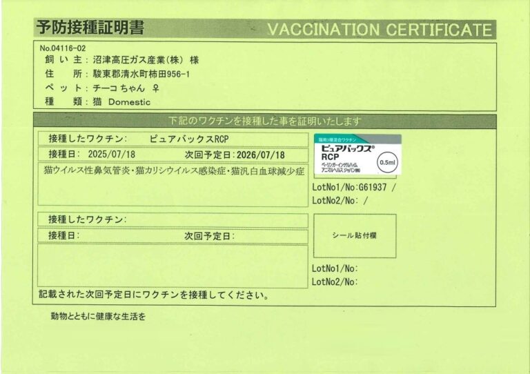 ワクチン接種byチーコ💉🩺