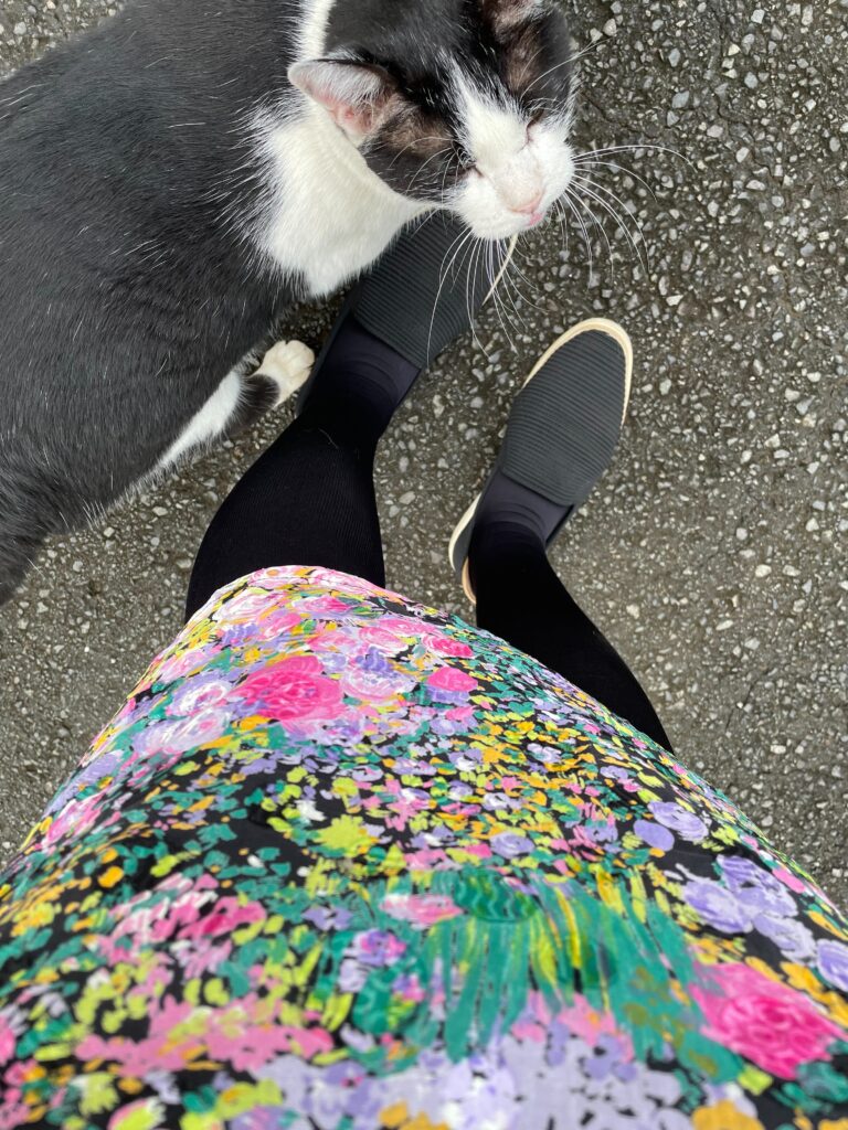 クロの日常24🐾
