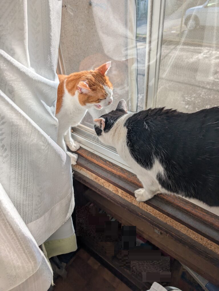 いざこざ😾💥