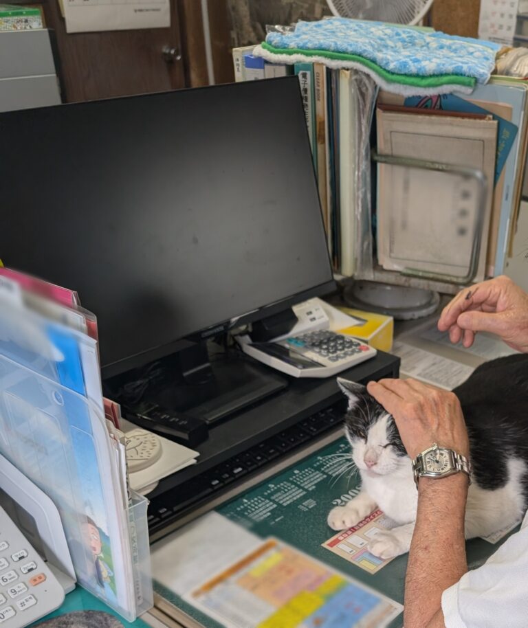 クロの日常21🐾