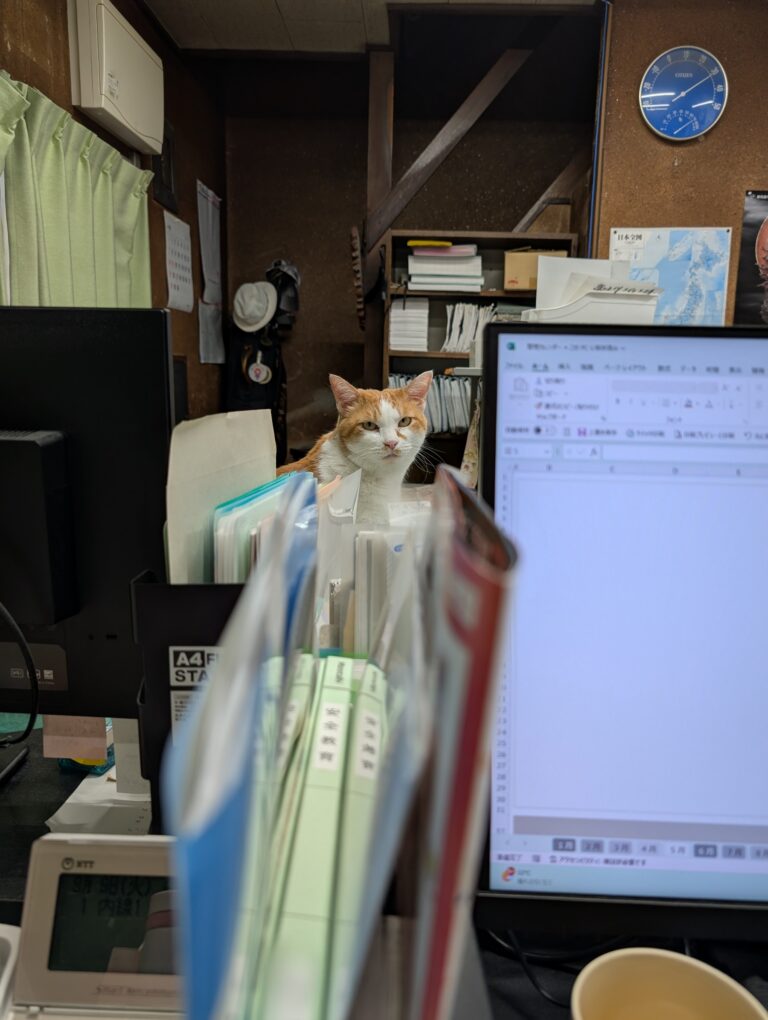 チーコの日常25🐾