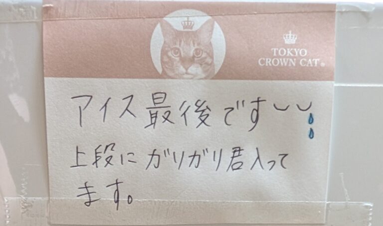 終わりを迎えたアイス😭💦