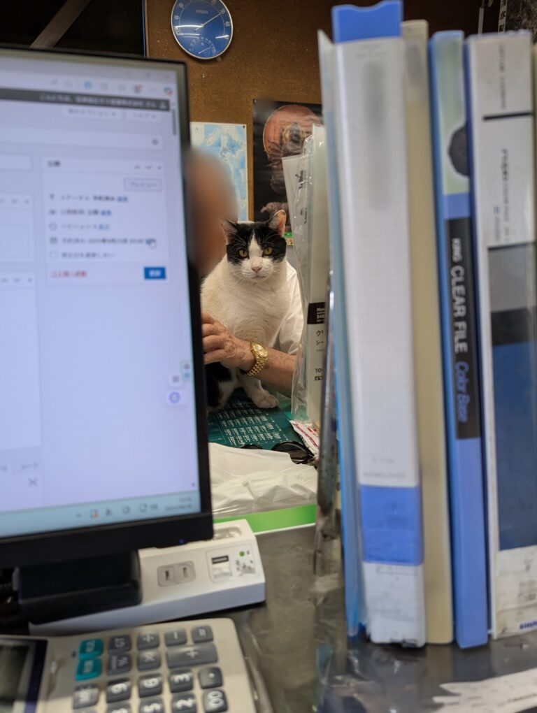 クロの日常34🐾