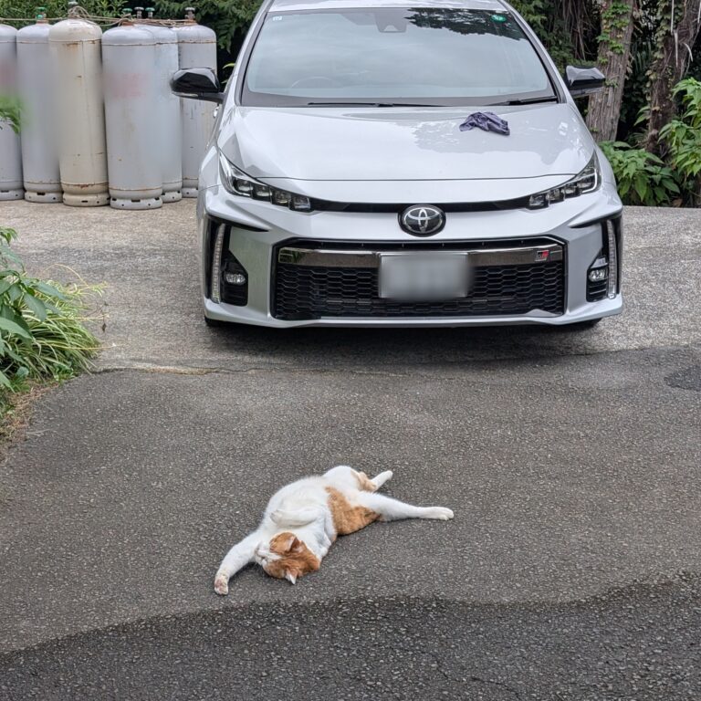 リラックスタイムが🚙💦