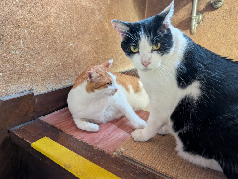 些細な喧嘩👊💥