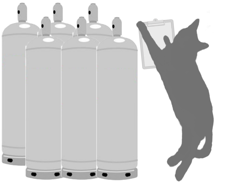 2026年の納品書🐾‼️