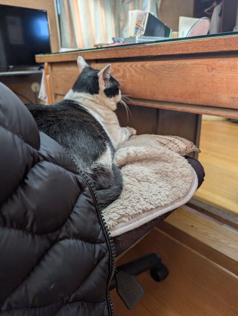 クロの日常48🐾