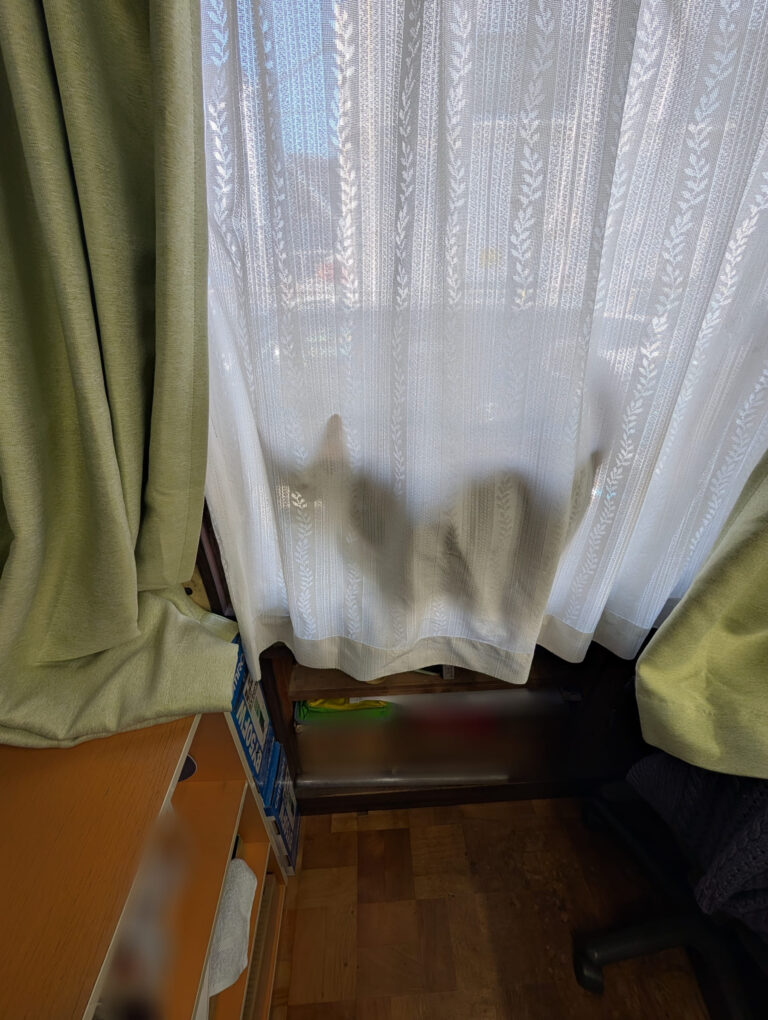 チーコの日常51🐾