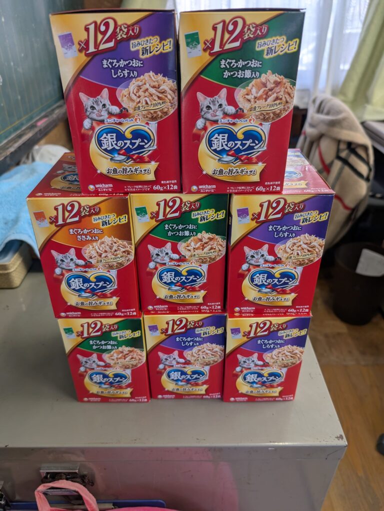 チーコの日常54🐾