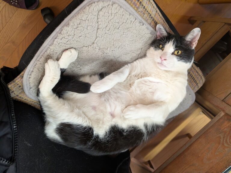 トイレ情報🚻🚽