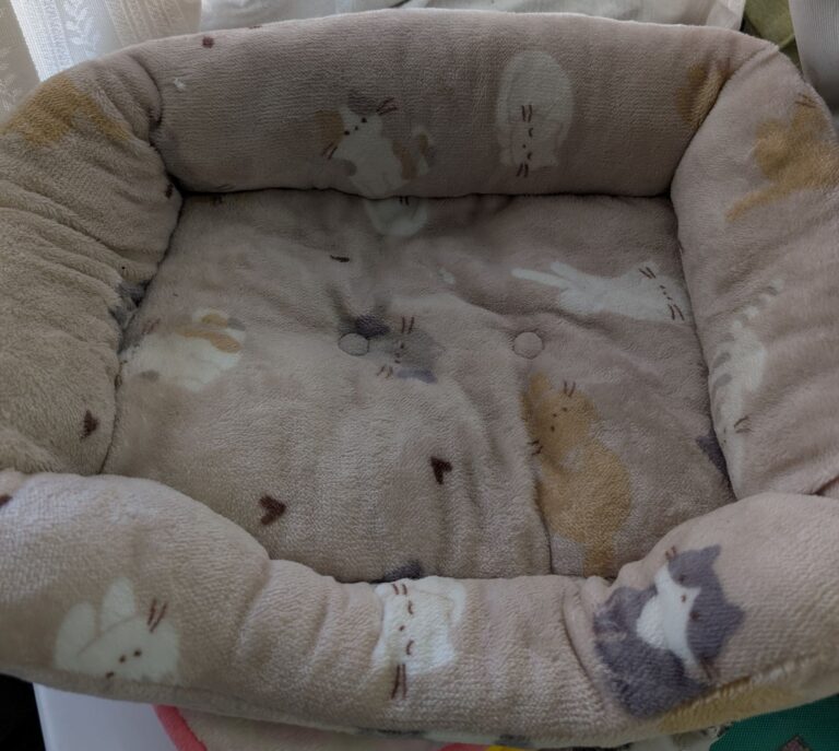 チーコへの形見分け🤎💛