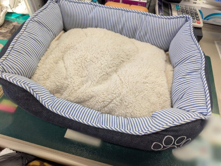 クロへの形見分け🤎🖤