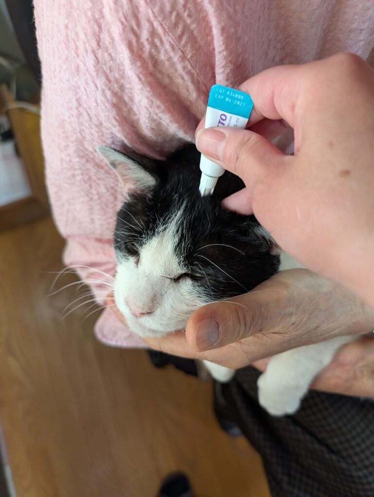 クロの”非”日常　福利厚生ｂｙクロ